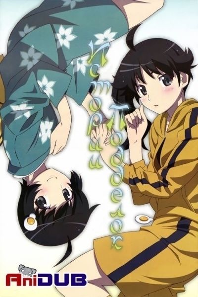 Постер аниме Истории подделок