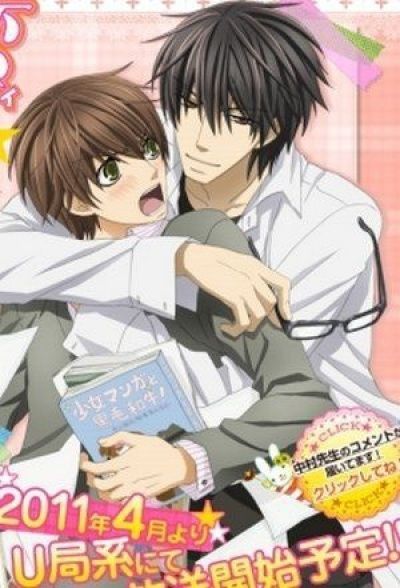 Постер аниме Лучшая в мире первая любовь