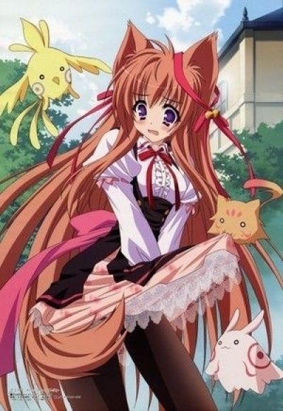 Постер аниме Таютама: Поцелуй моей богини 