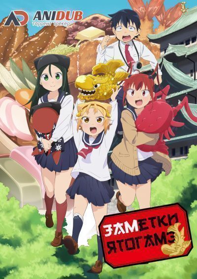 Постер аниме Заметки Ятогамэ