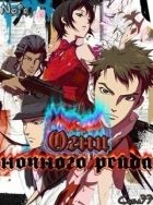 Постер аниме Огни ночного рейда