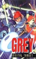 Постер аниме Грэй: Цифровая мишень