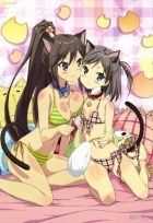 Постер аниме Принц-пошляк и кошка-несмеяна