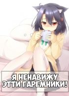 Постер аниме Я Ненавижу Этти Гаремники!