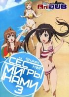 Постер аниме Сёстры Минами ТВ-3