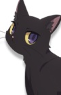 Неро anidub