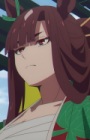 anidub