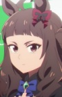  anidub