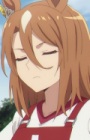  anidub
