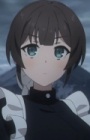 Агата anidub