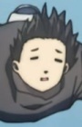 Норо anidub