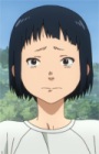 Саки anidub